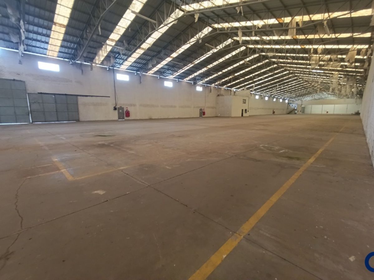 Pavilhão Comercial - Industrial em Gramado, espaço Amplo e Estratégico