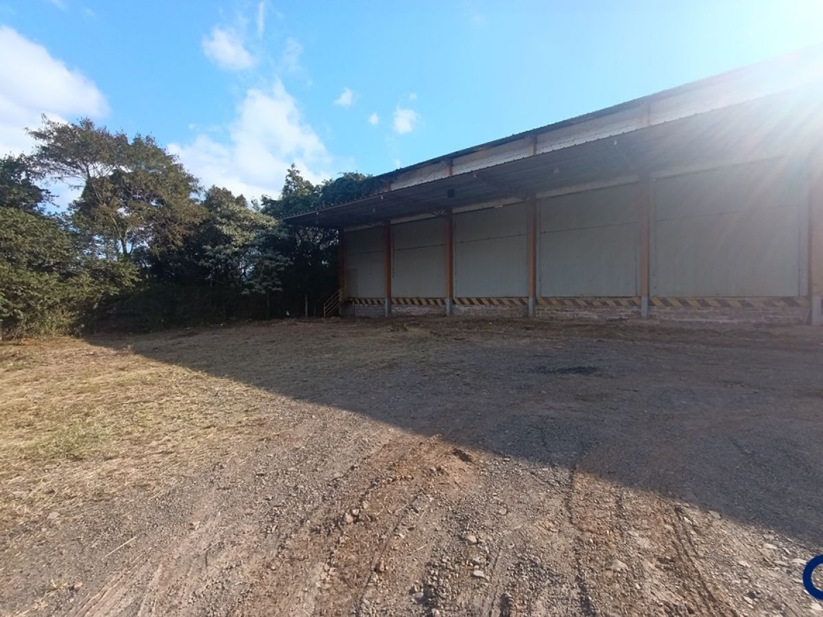 Pavilhão Comercial - Industrial em Gramado, espaço Amplo e Estratégico