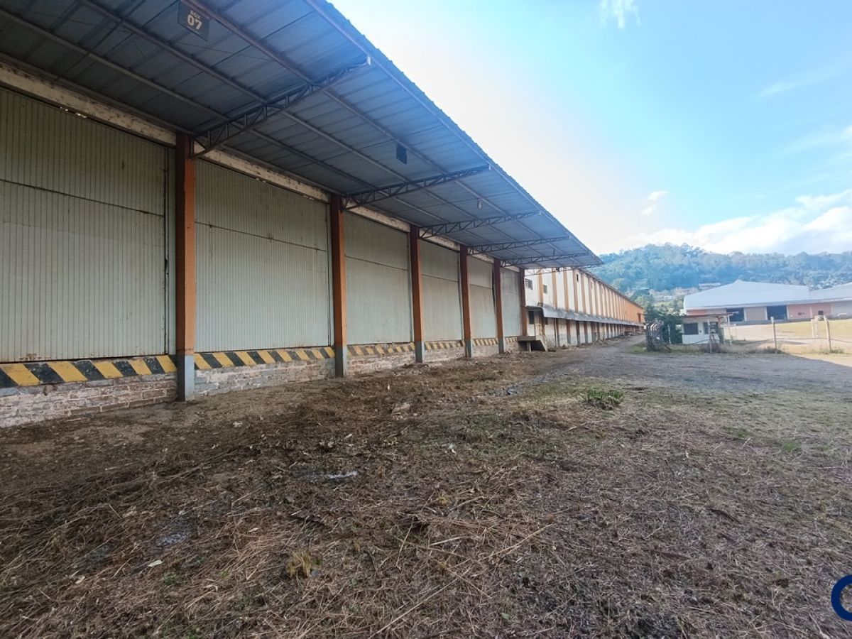 Pavilhão Comercial - Industrial em Gramado, espaço Amplo e Estratégico